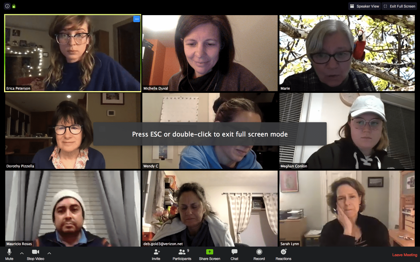 Screen Shot 2020-04-21 at 8.42.26 PM